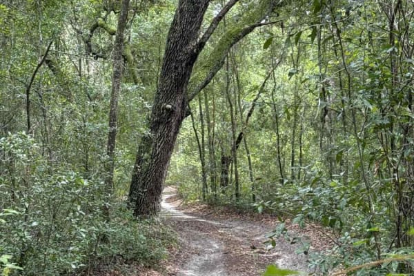 South West Pond Trail - ONF 314 5.7A