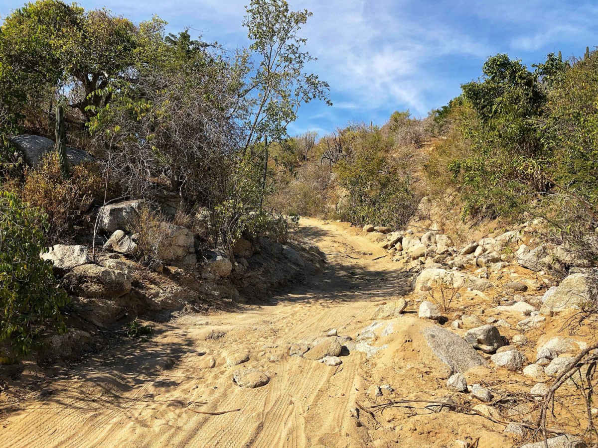 El Refugio photo 5