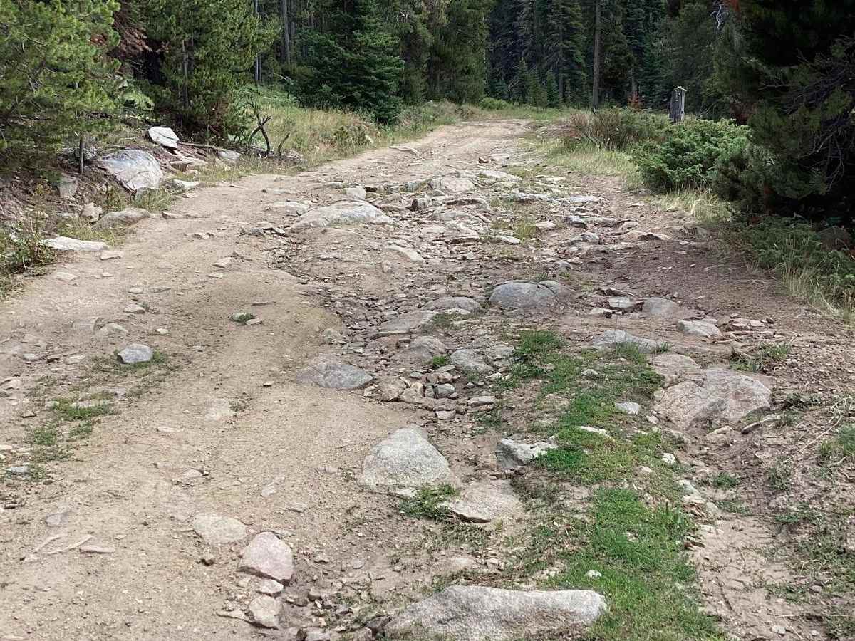 Nickel Creek Spur trail photo