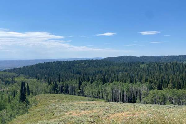 Old Canyon Trail