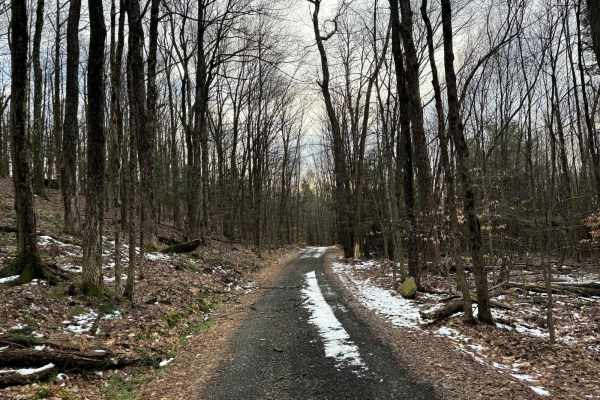 Brown Road