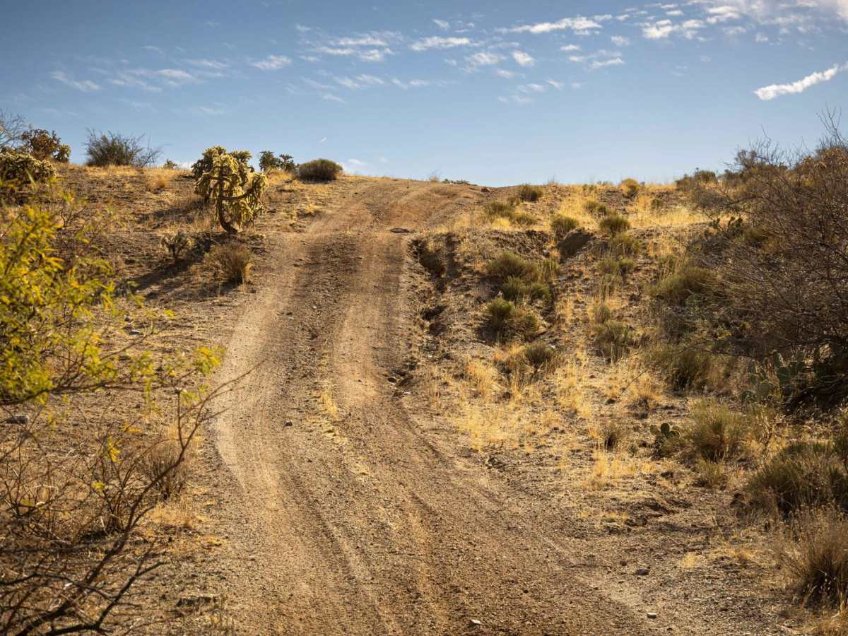 Lovetta Trail photo 6