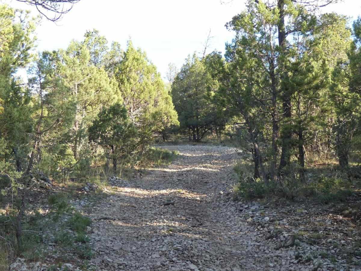 James Ridge photo 3