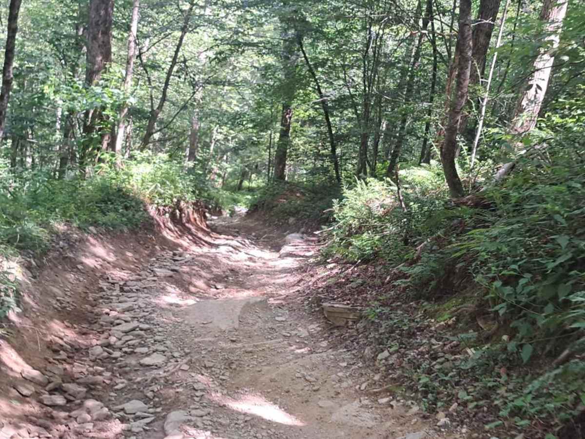 Beaver Slide photo 3