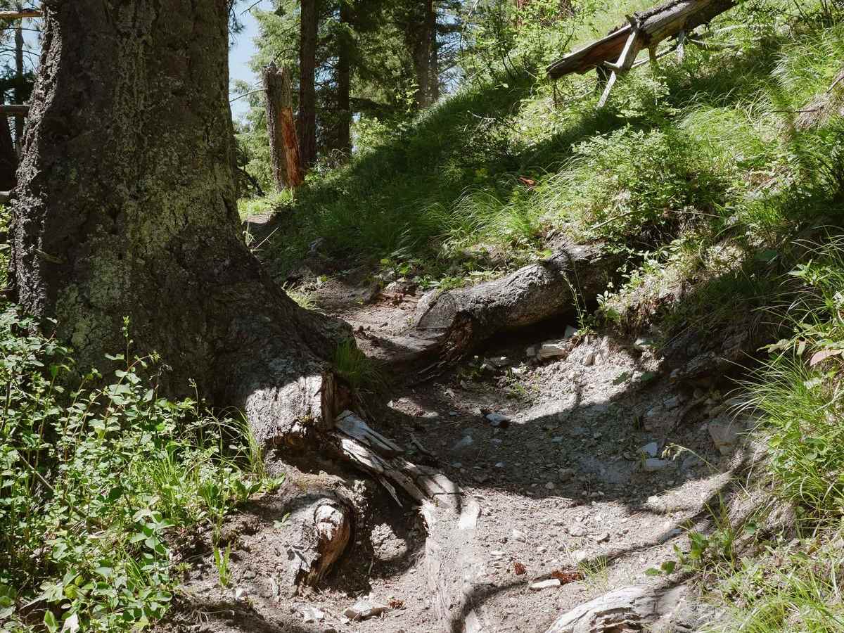 Hughes Creek photo 4