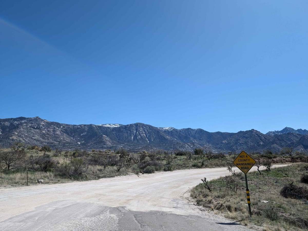 50 Year Trail Loop photo 3