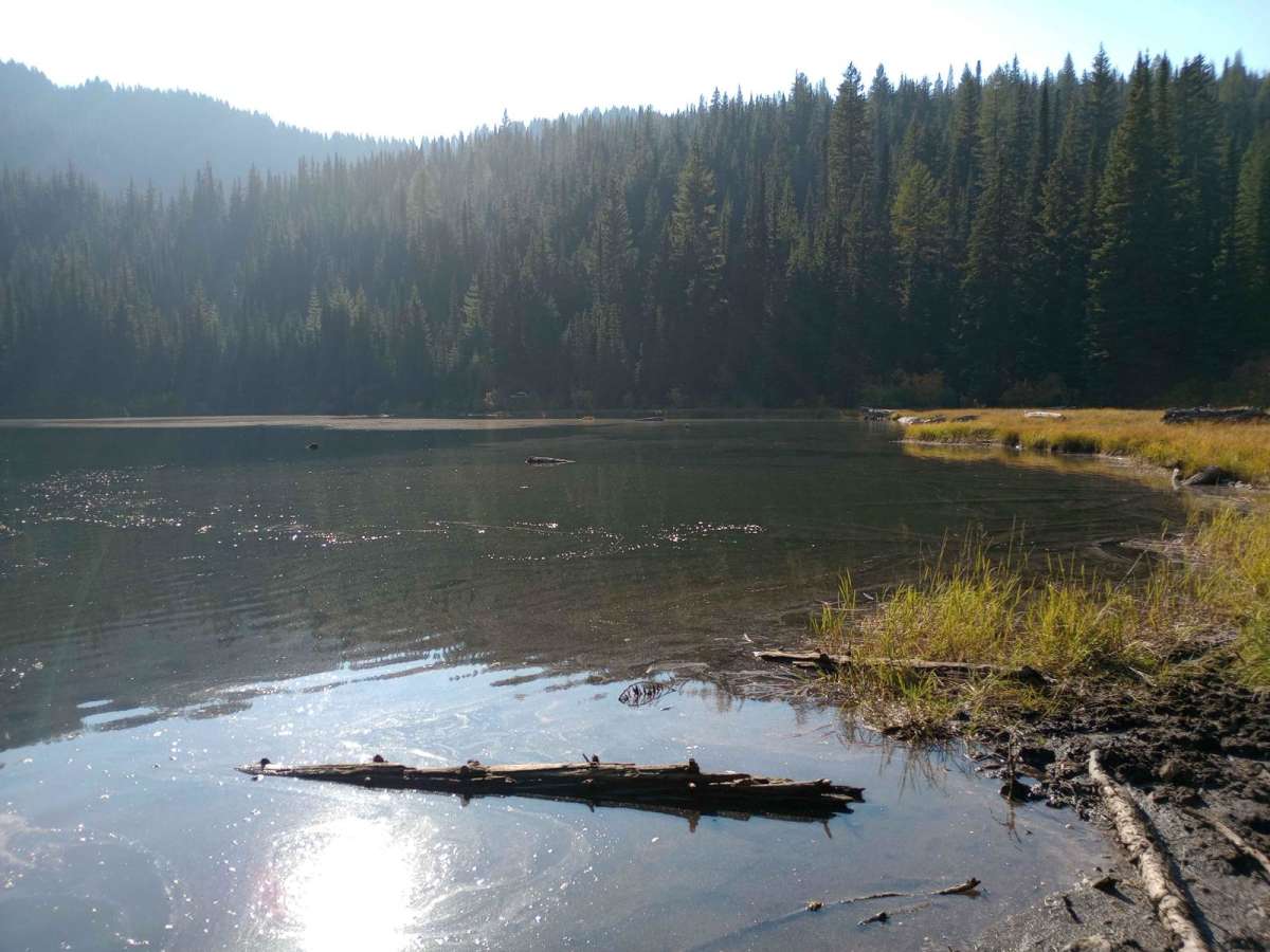 Lake Elsie (2354) photo 2