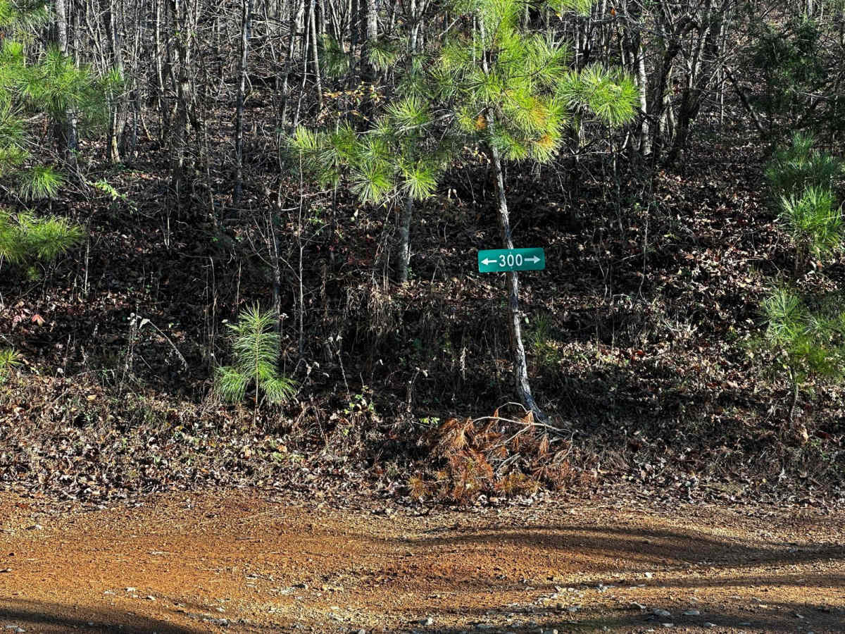 300A trail photo