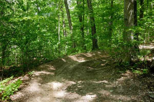 Trail 13