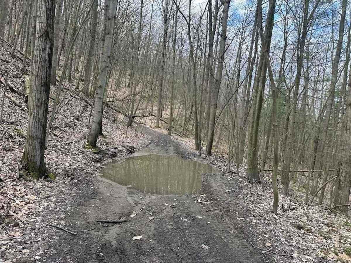 Ashland 116 photo 2