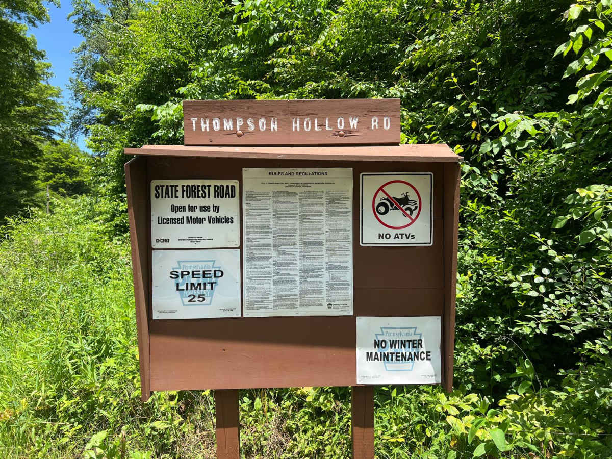 Thompson Hollow Road trail photo