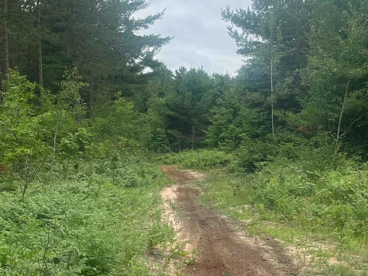 Silver Creek photo 6