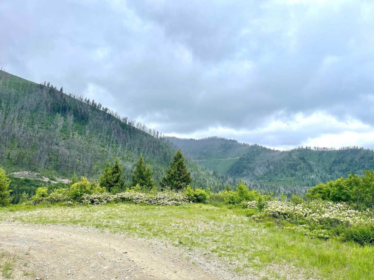 South Cottonwood trail photo