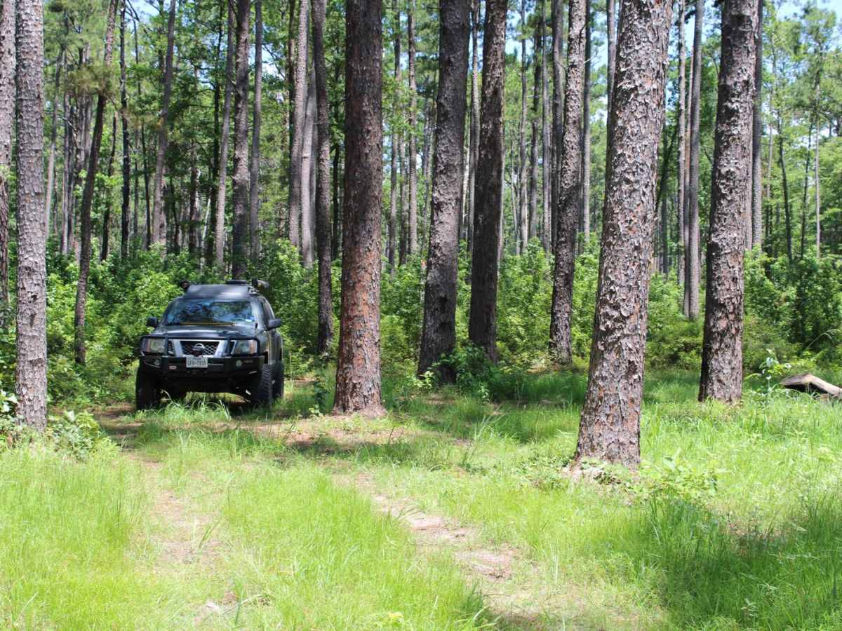 FSR 568 Hunters Camps photo 5