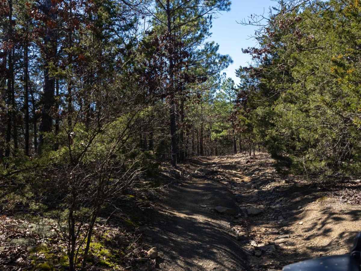 Billy Creek Spur Trail photo 3