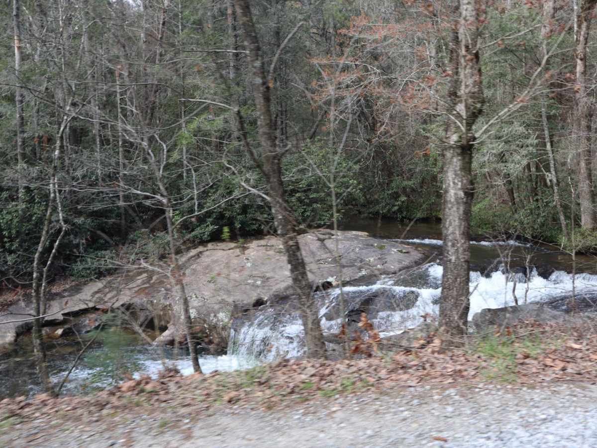 Dicks Creek photo 6