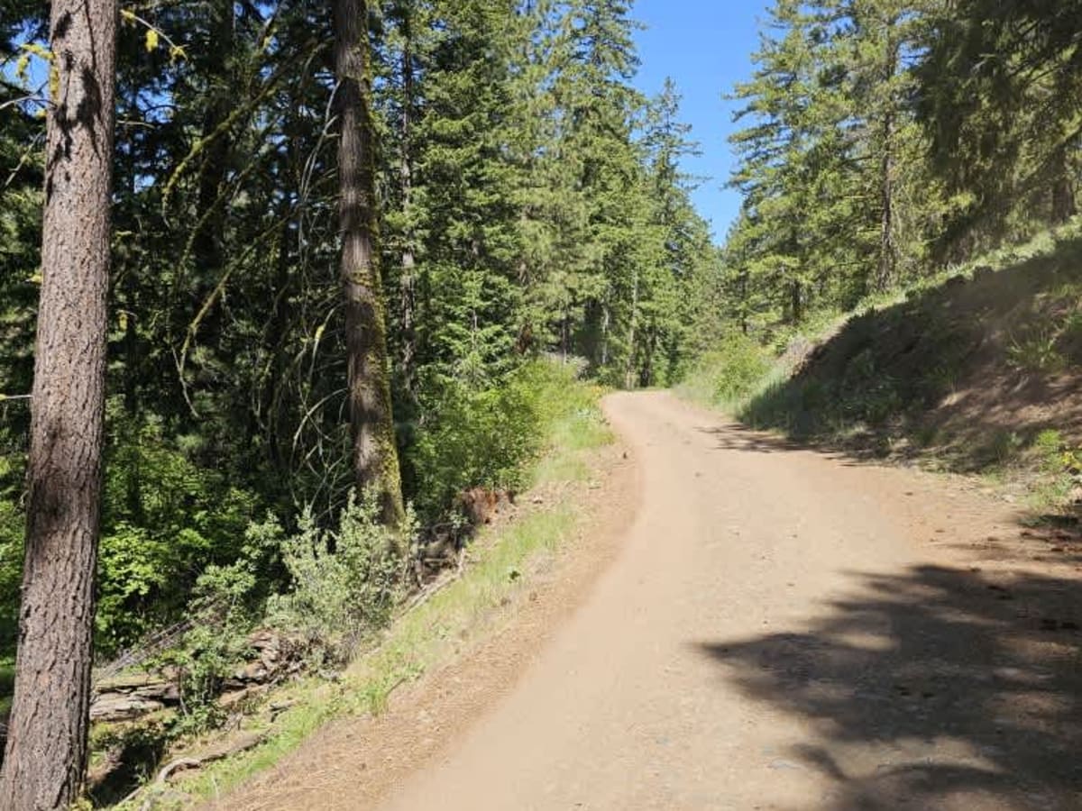 Rue Road photo 4