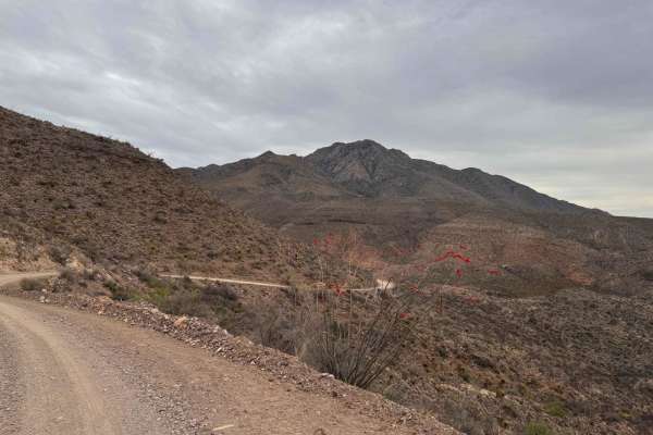 Pinto Canyon Road