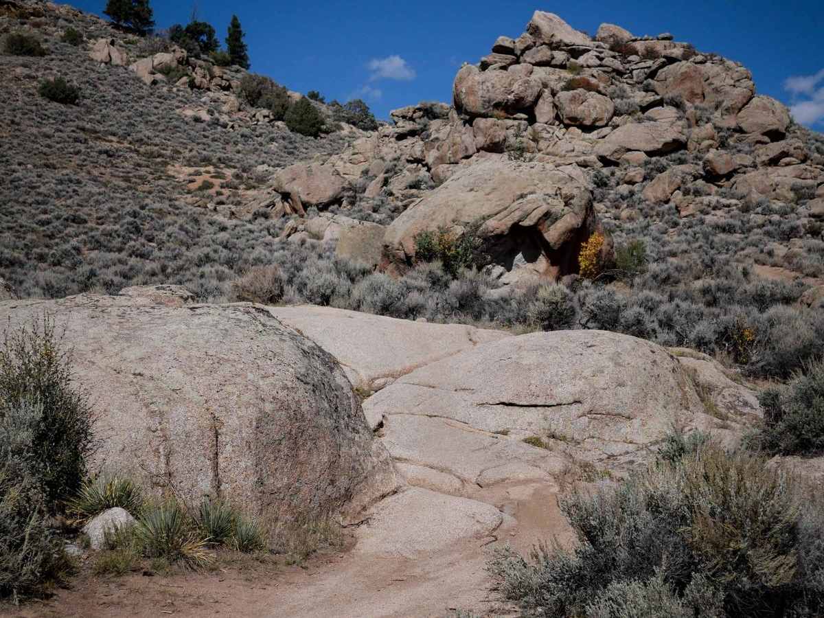 Top of the World trail photo
