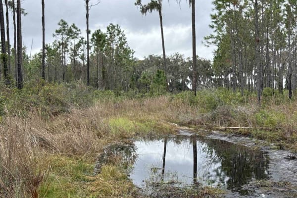 Burnt Island Loop