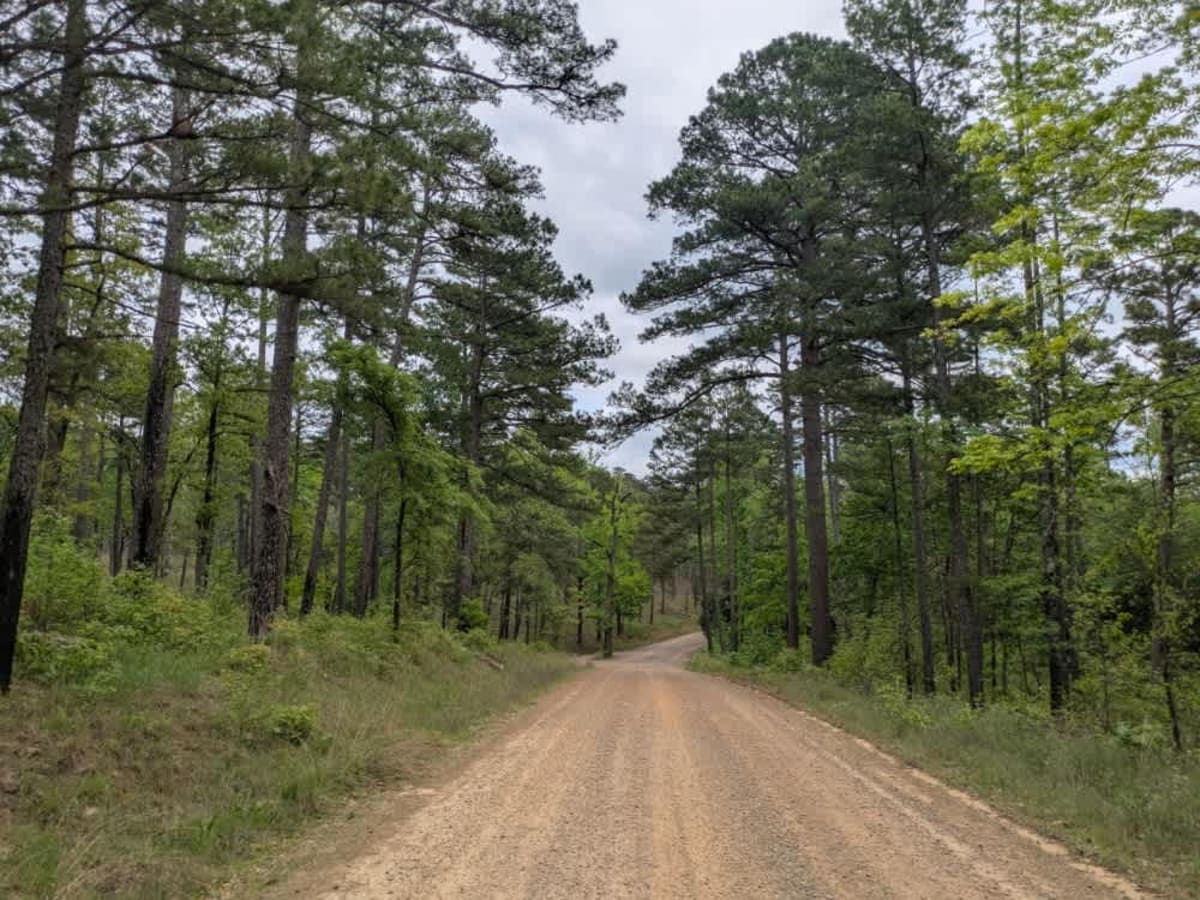 Spring Lake Road photo 4