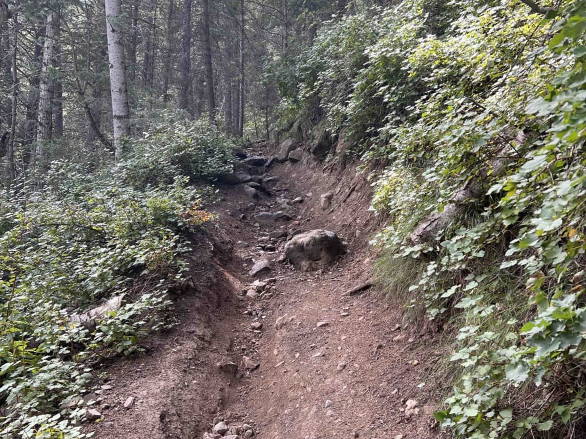 Bear Canyon (2179) photo 4