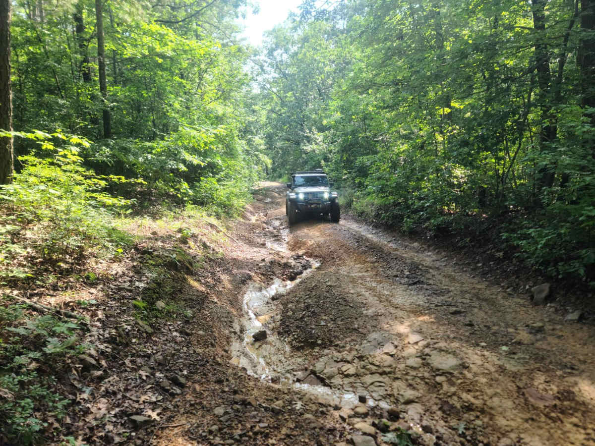 Highland Route - 216 photo 3