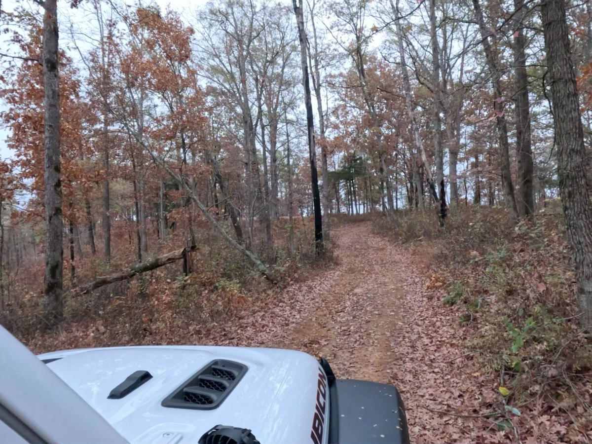 Logging Bank Trail (FSR #94449B) photo 4