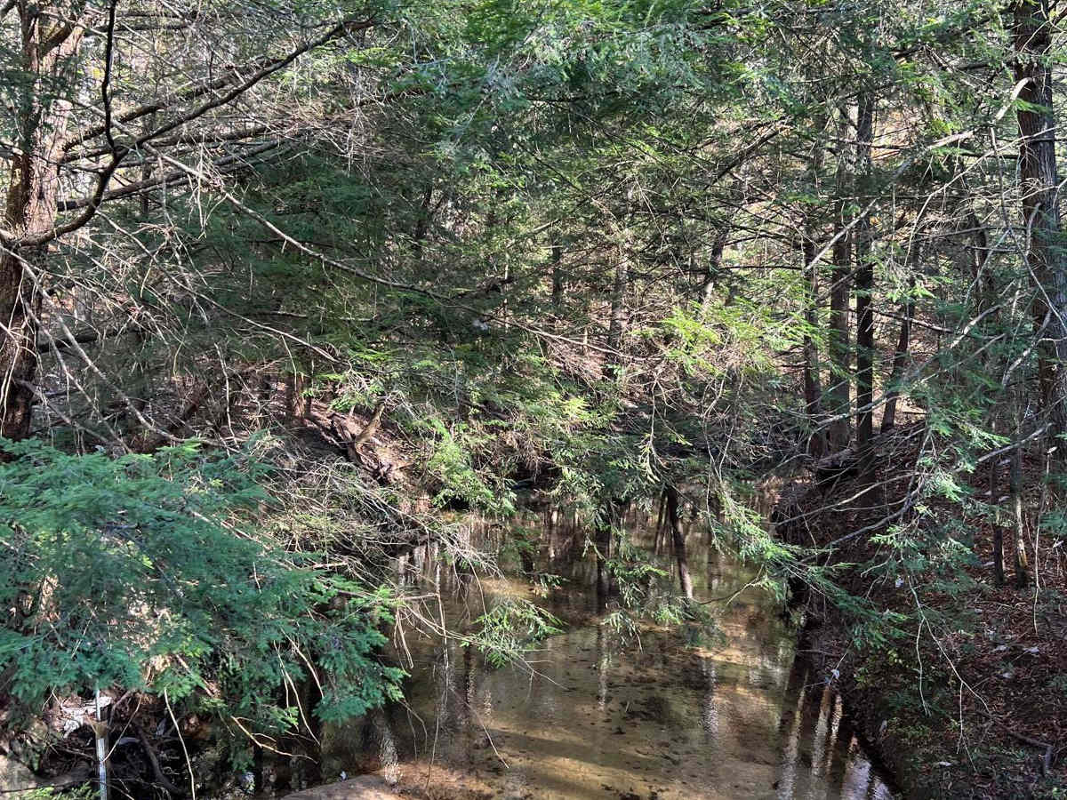 Indian Tomb Hollow Road photo 2
