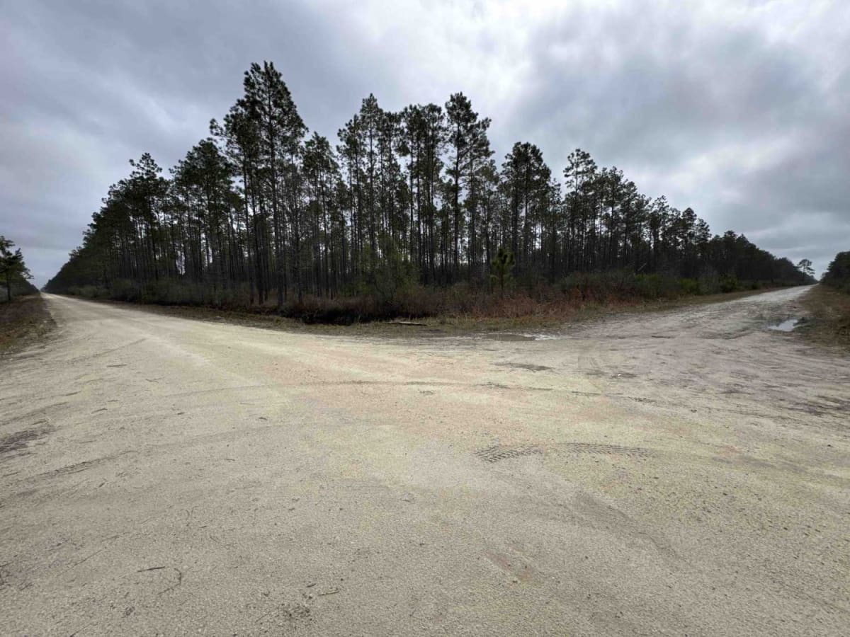 Tucker Road photo 4