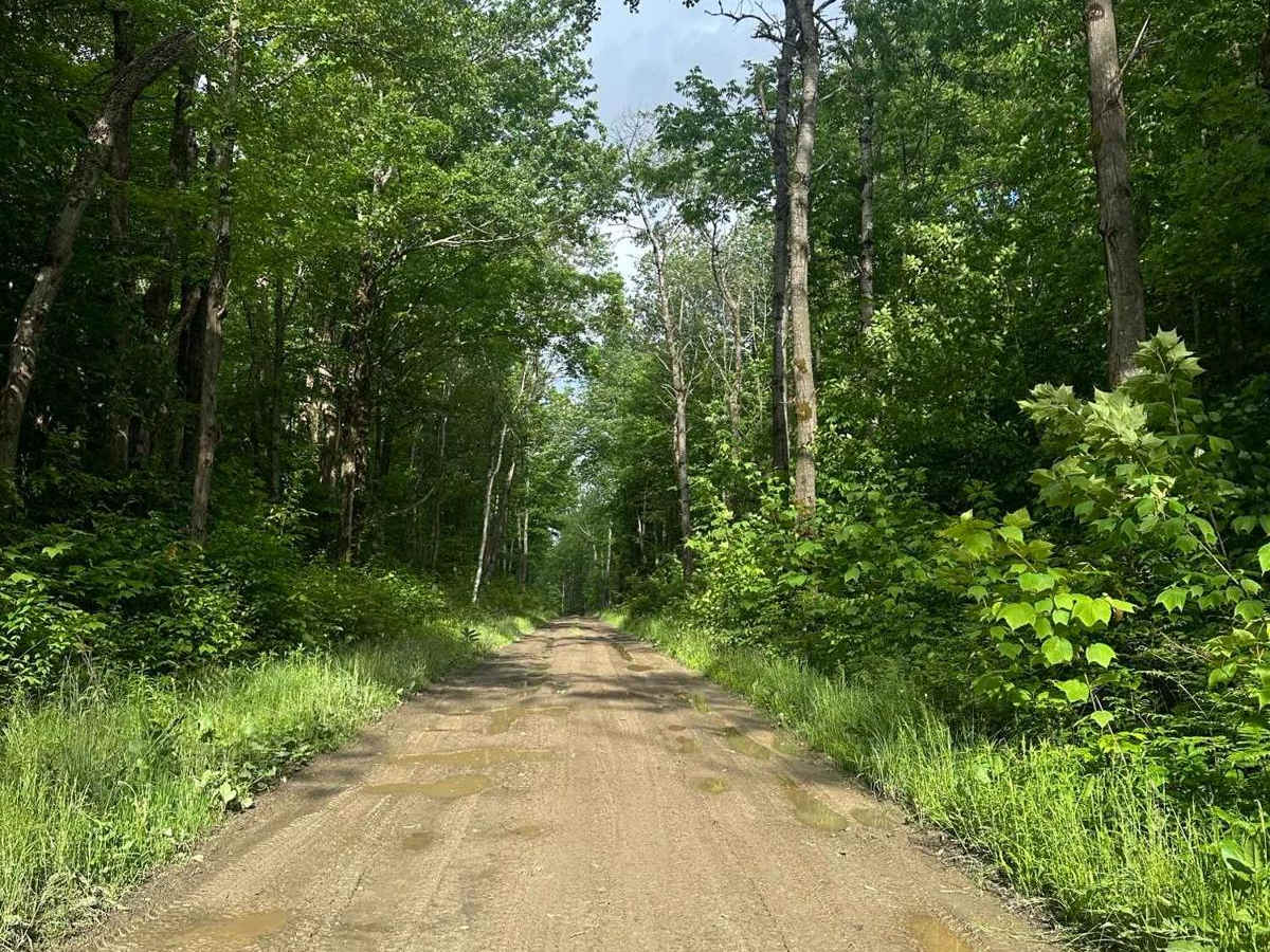 Hungry Hollow Road (Seasonal Section) photo 3