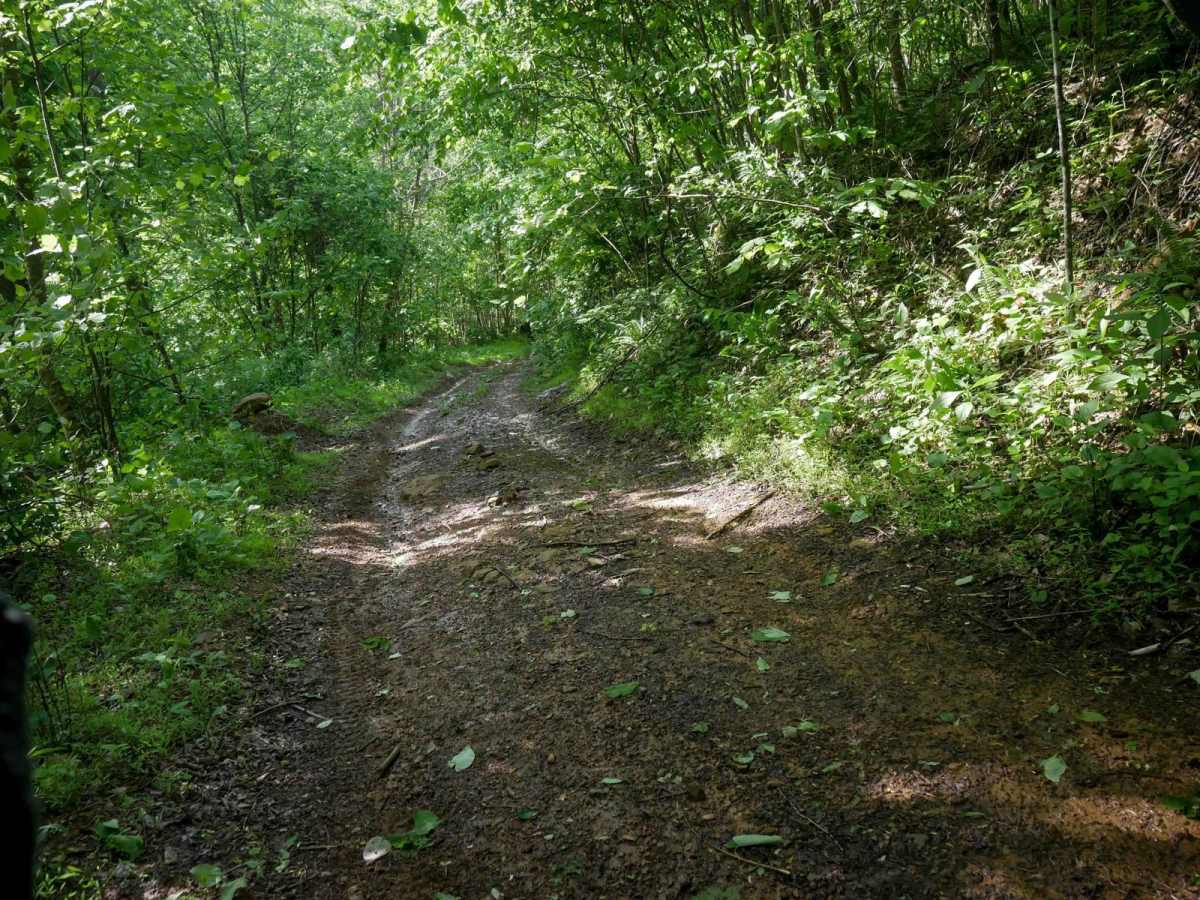 RV30 photo 6