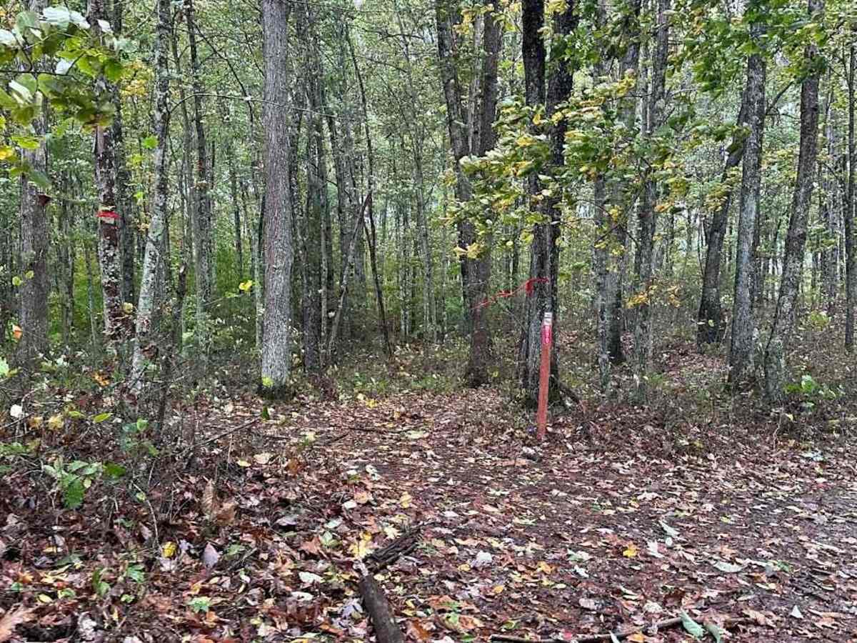 188 Single Track trail photo
