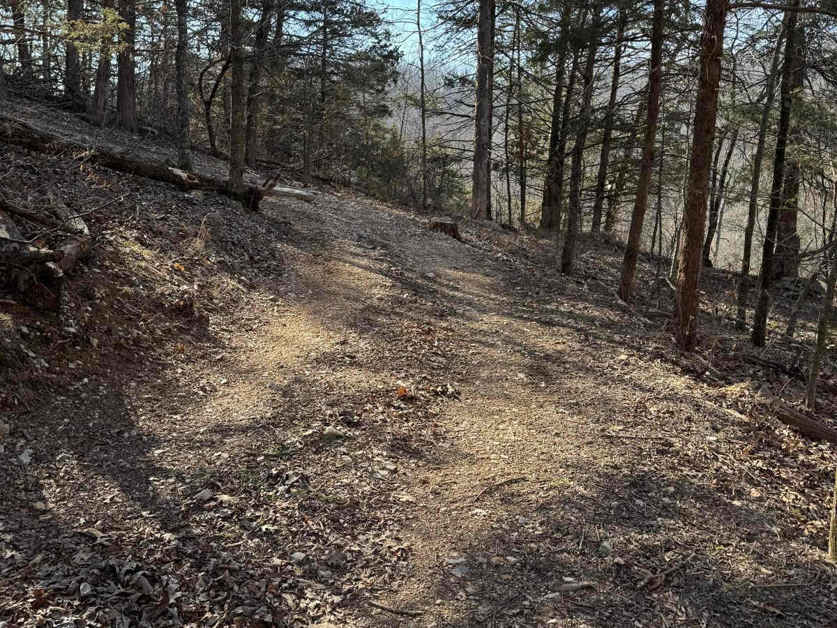 Red 415 photo 5