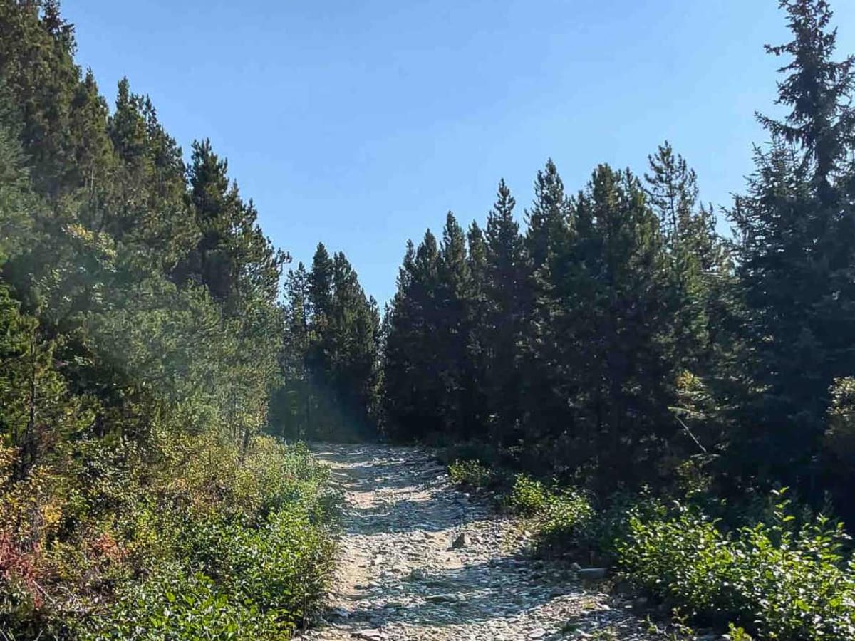Canoe Mountain Rd photo 4