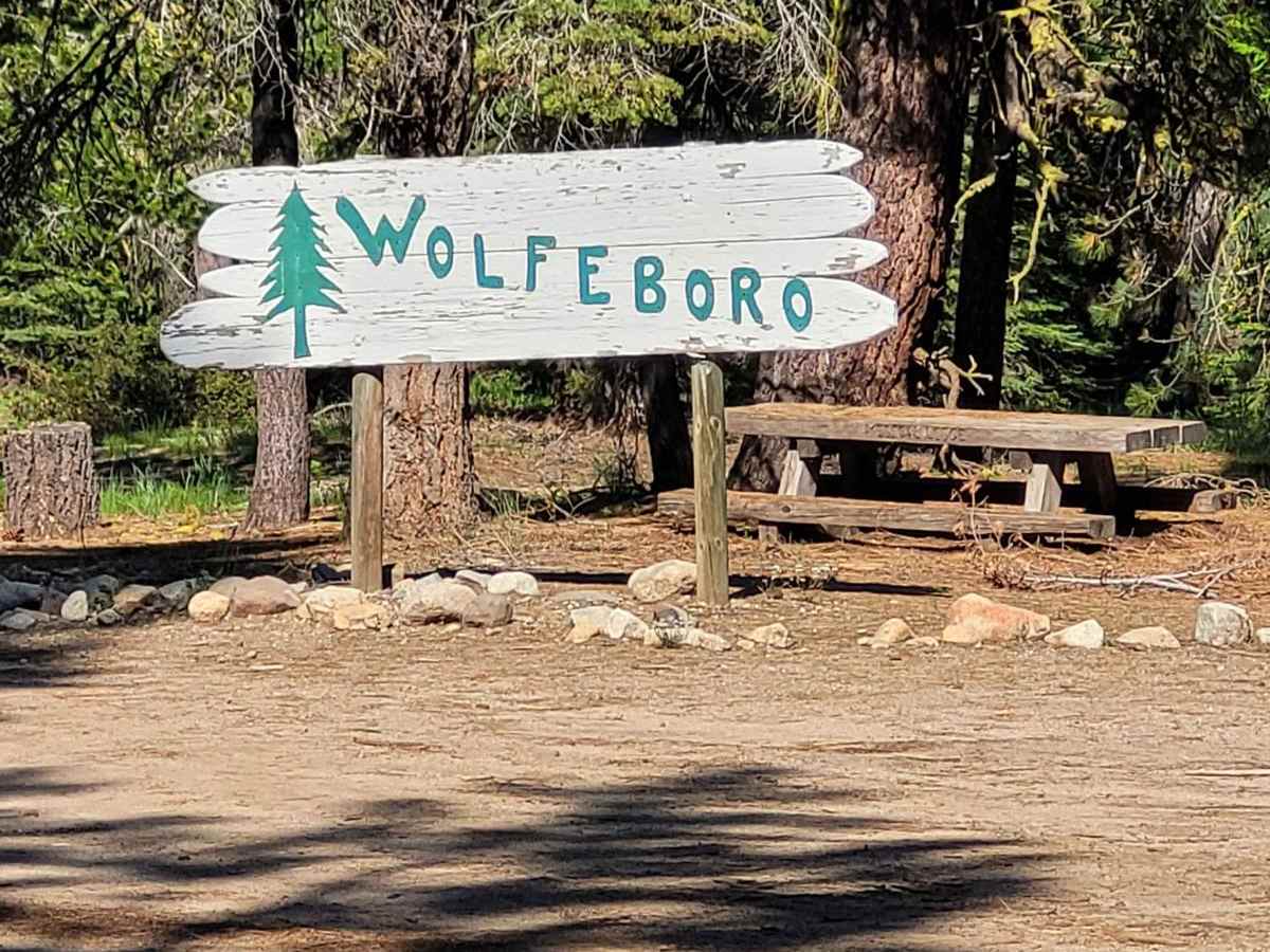 Camp Wolfeboro trail photo