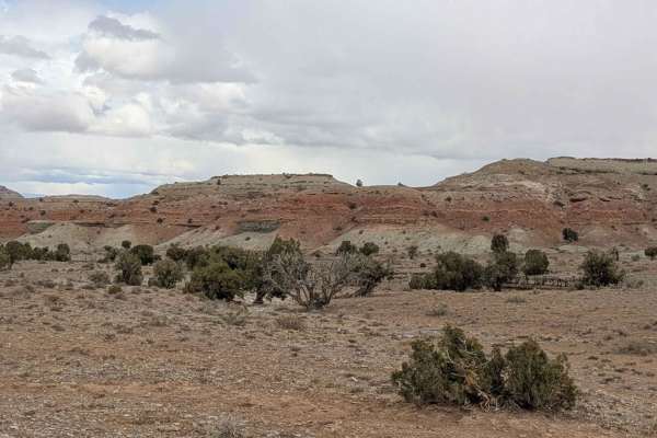 Wedge Overlook Loop 2 (3519)