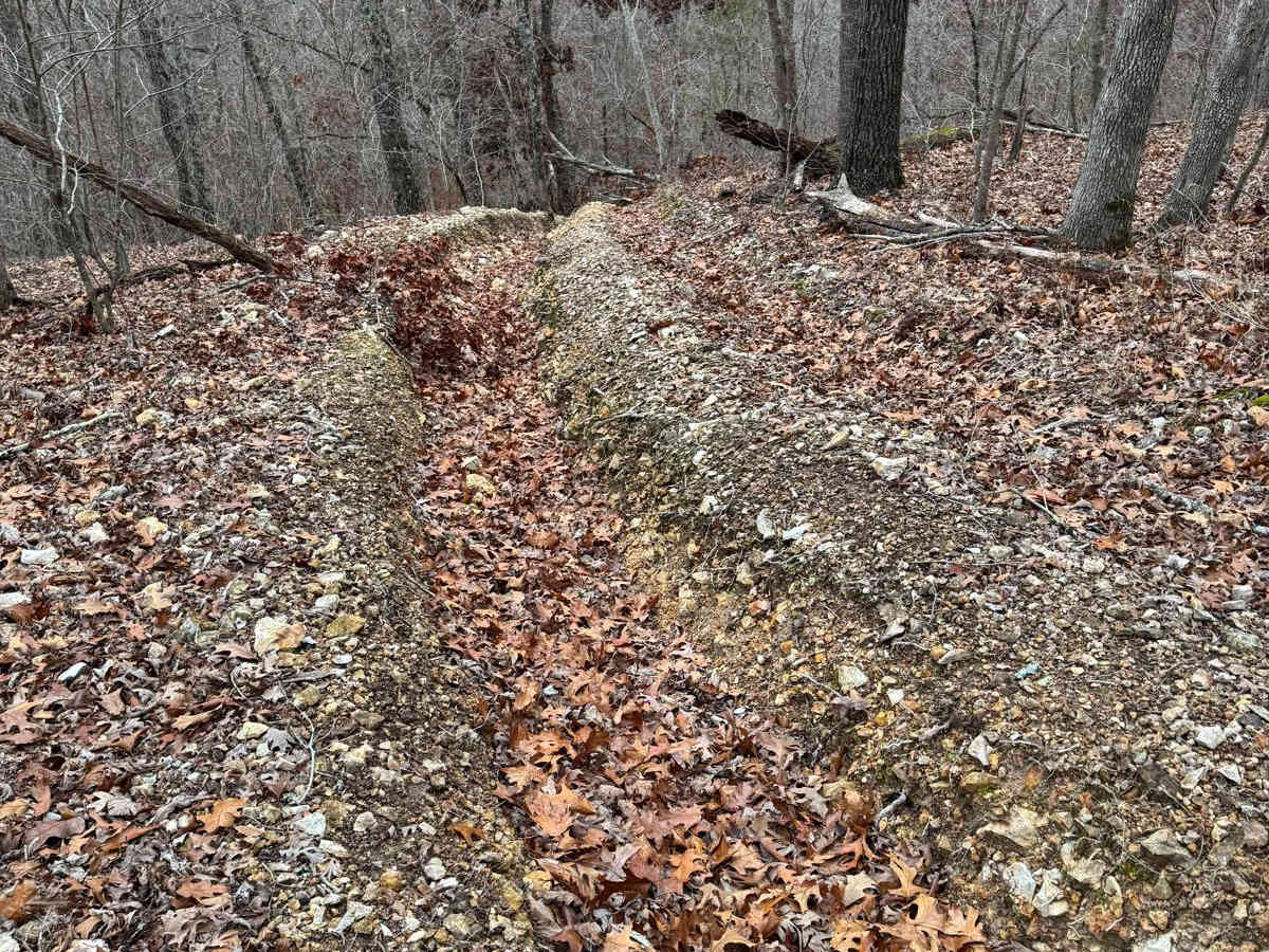 Dave's Hill 354 photo 5