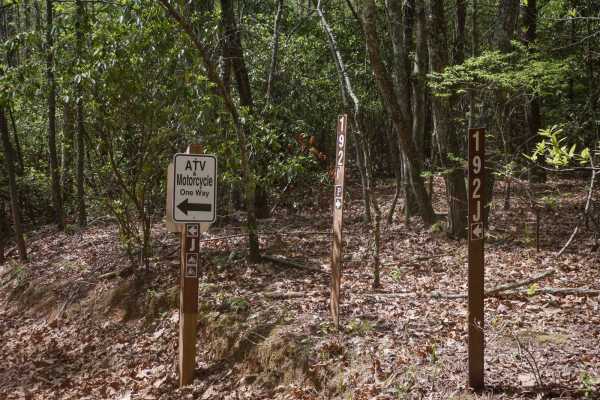 Sally Free Trail J