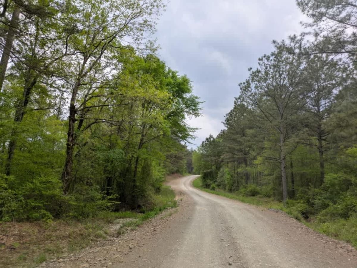 Gillham Lake Road photo 5
