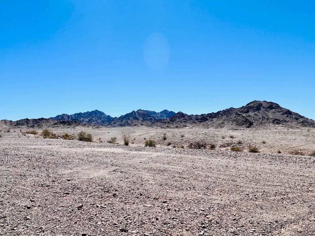 Desert Loop 660 photo 4