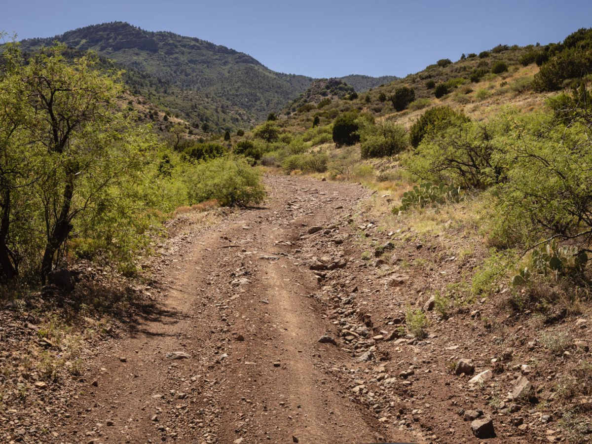 Mingus Mountain photo 4