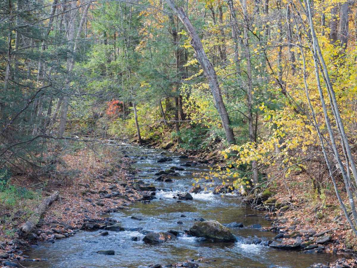 Six Mile Run Road trail photo