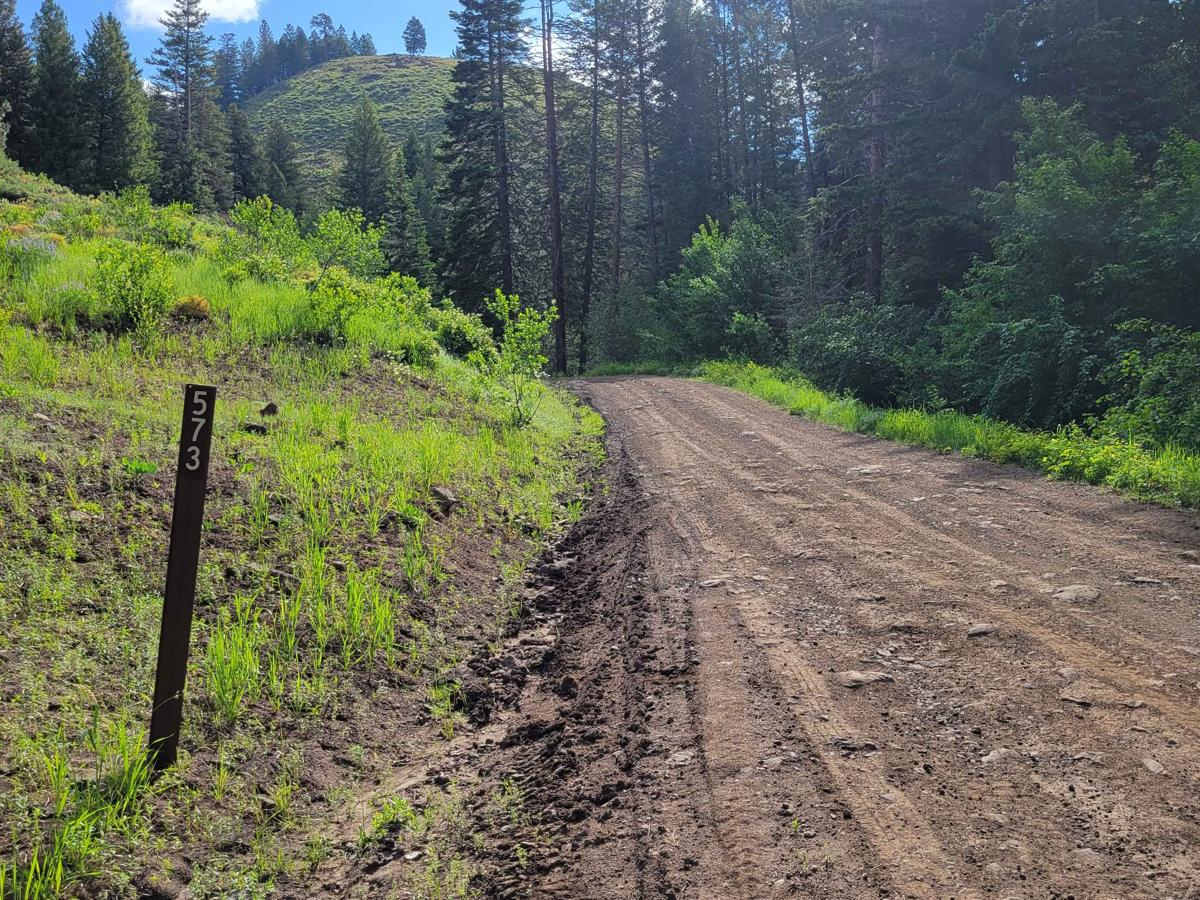 FR 573 - Hitt Creek photo 2