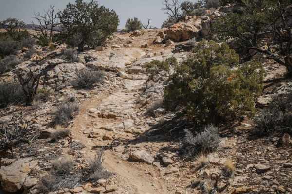 Orange Trail