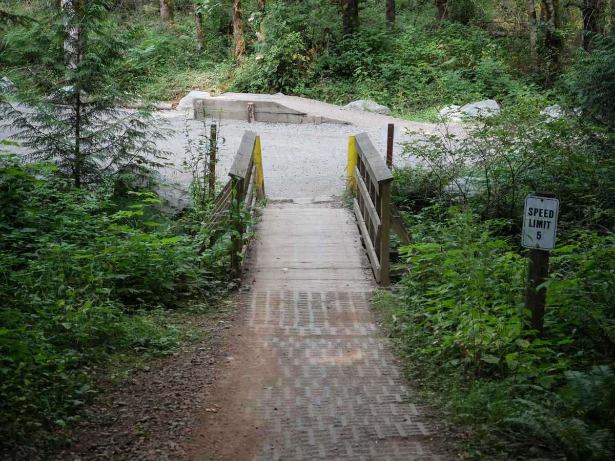 Jam trail photo