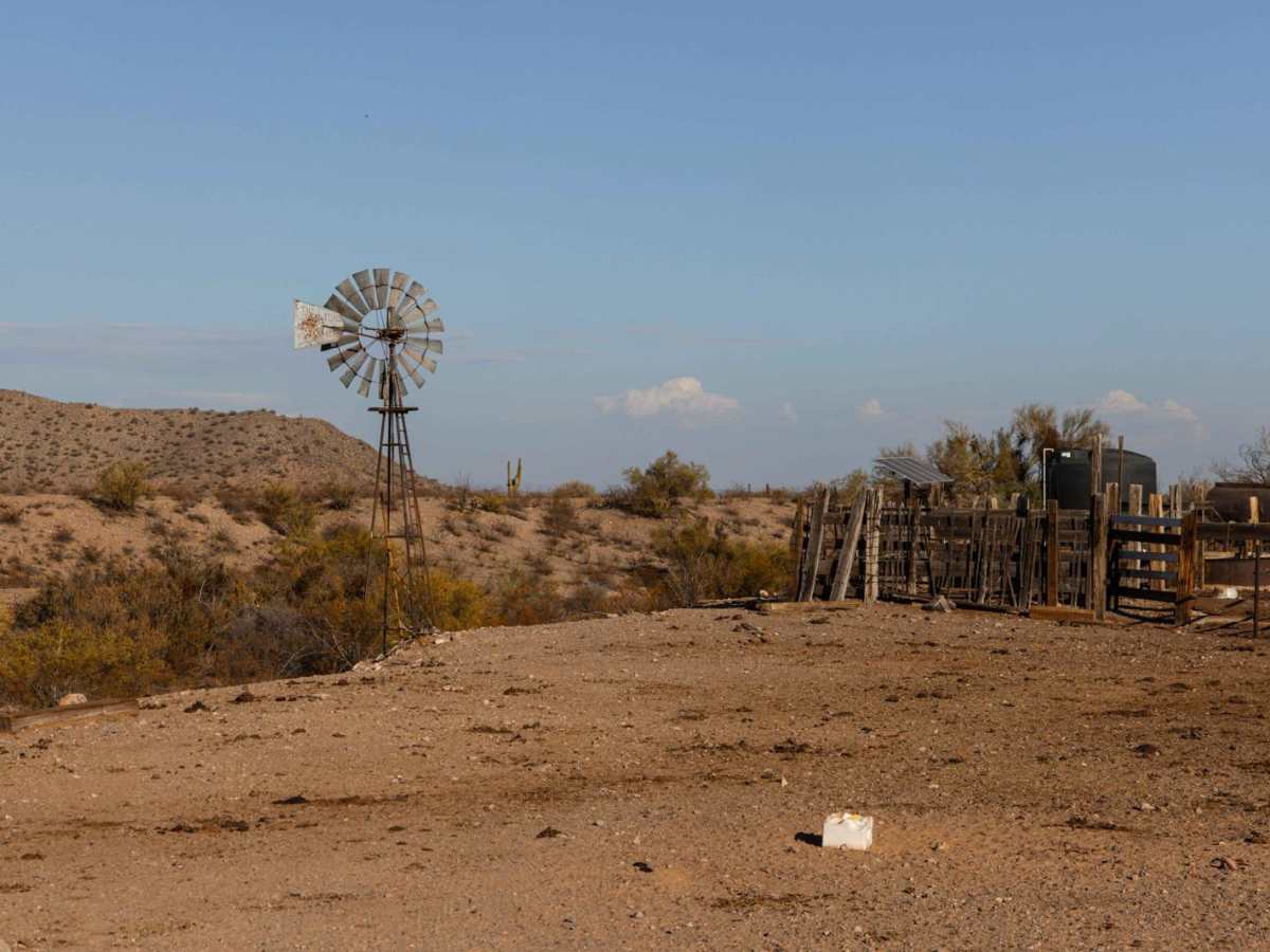 Coyote Windmill photo 5
