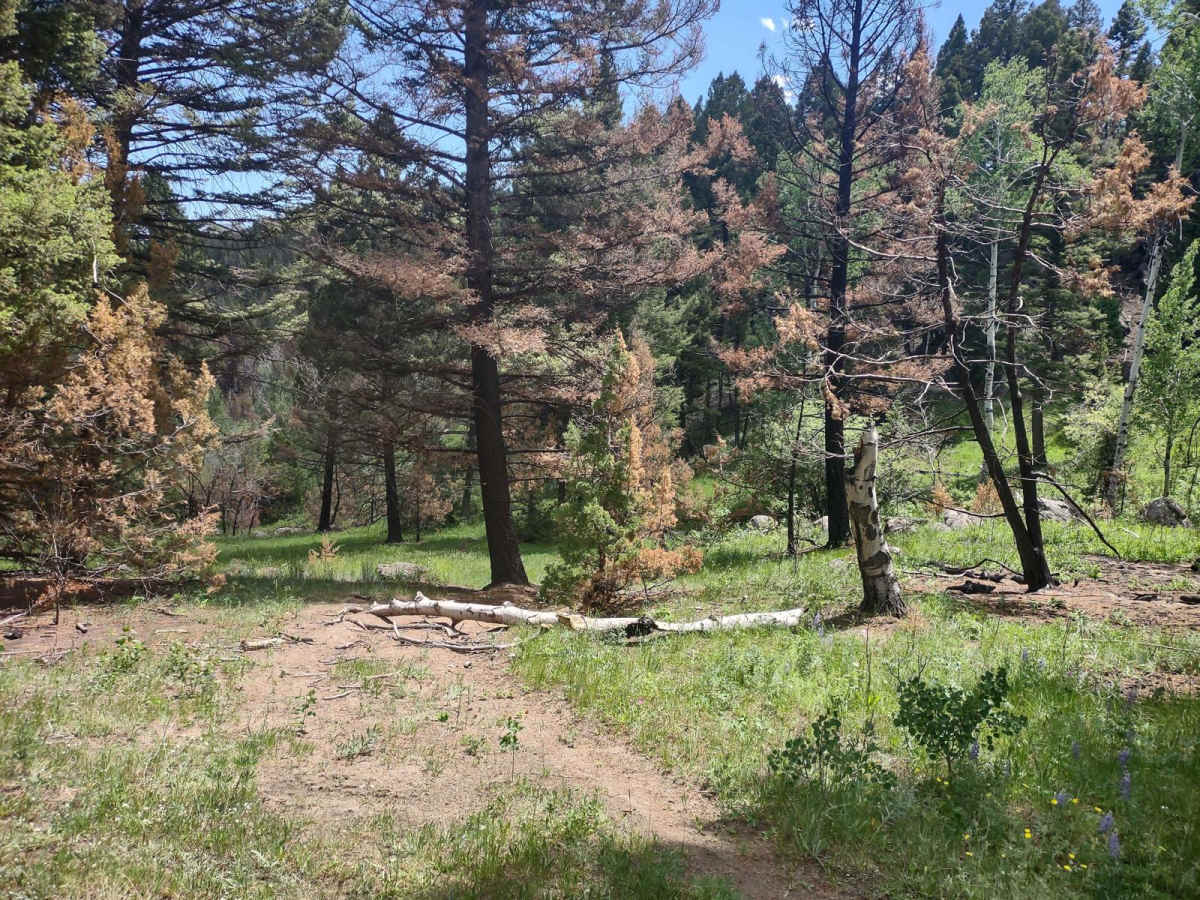 Boulder Alley Spur photo 3