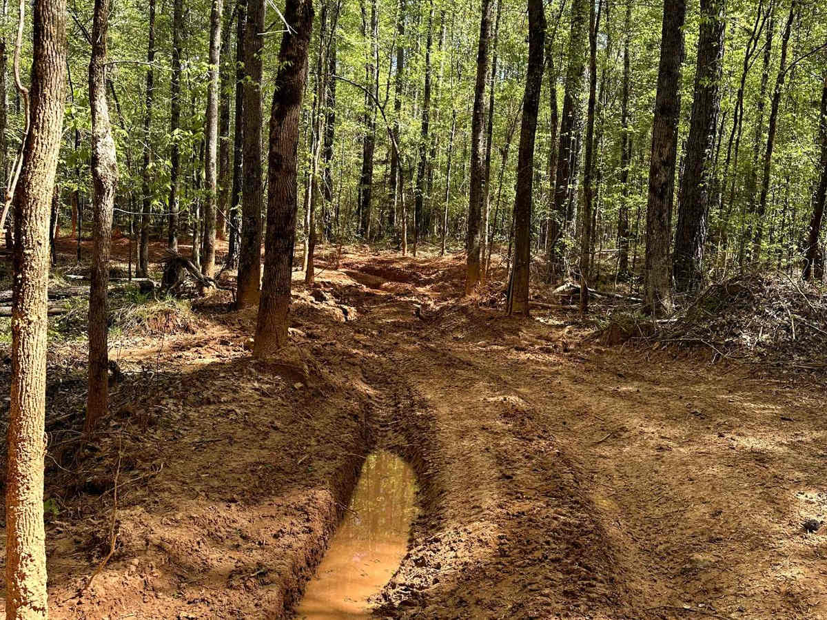 Trail 42 photo 4