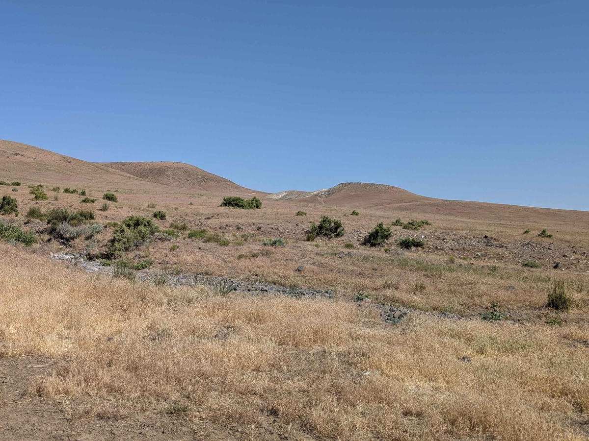Camp Kettle Creek Road Trail photo 4